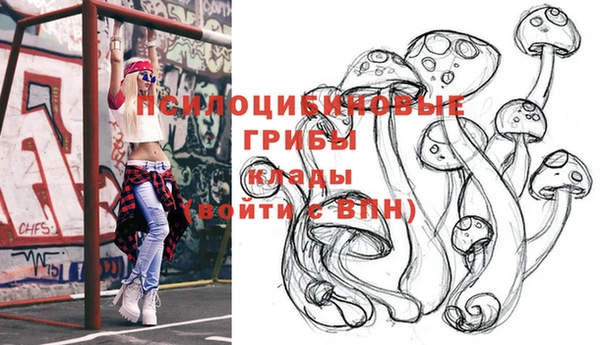 ALPHA PVP Баксан