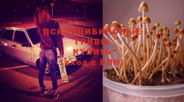 тгк Балабаново